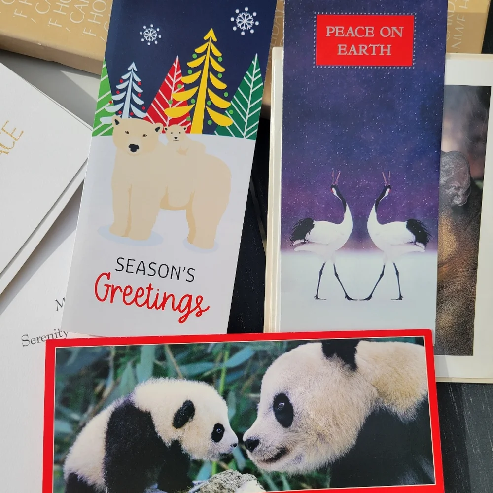 Wildlife Greeting Card Set ~ Christmas ~ Florida Photography ~ Vintage Cards